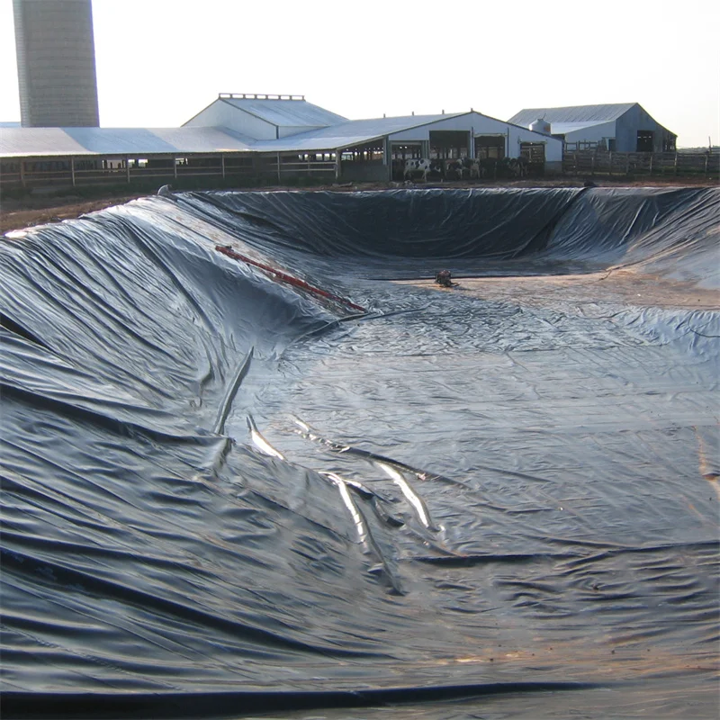 Tank Geomembrane Pond Fish Liner Fish Geomembrane For Tarpaulin Fish Pond Pond Hdpe Liner Membrane Geo for Landfill Biadigester