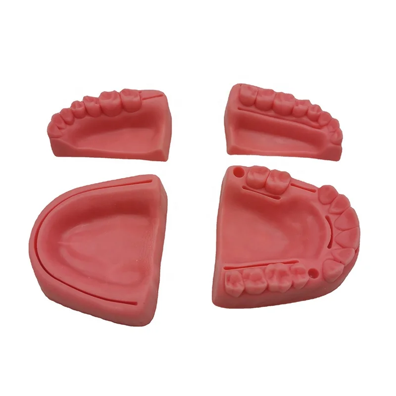 Oral university students Dentistry School Surgical Simulator Pad Teeth Practice dental suture model
