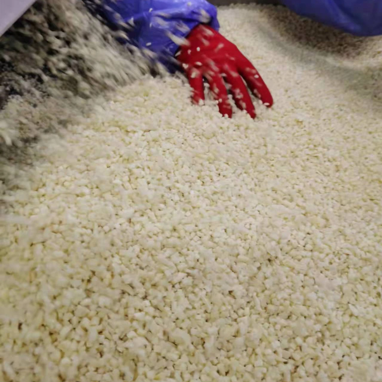 10 лет завод органических IQF чеснок рубленый кости