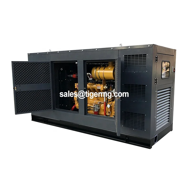 Factory supply high efficiency natural gas generator 50kw with chp boiler
