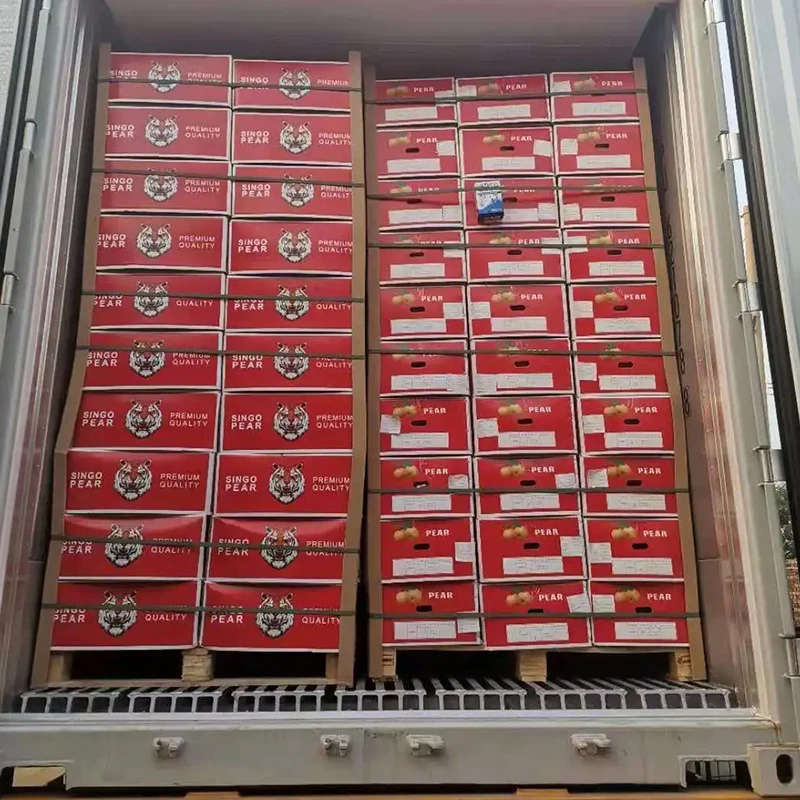 New Season Asian Pear Fruits /Fresh Chinese Yellow Ya Pear/Fresh Crown White Pear Fruit For Sale With Cheap Price