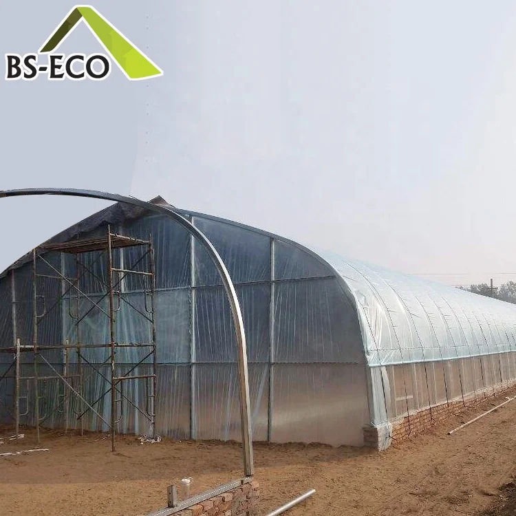 12.Автоматический парник гриба с гальванизированным железным каркасом