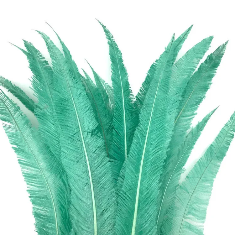 Trimmed 20-24inch Ostrich Nandu Feathers