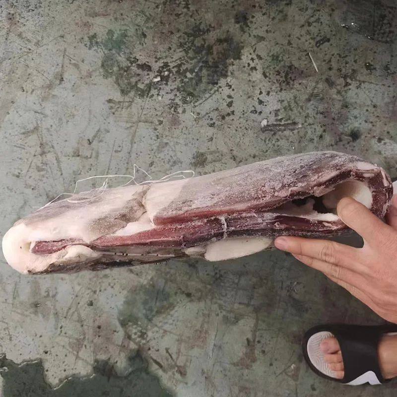 NEW ARRIVAL DONGSHEN FOR Vietnam   MARKET 100% net weight BQF Frozen  PERU squid fillet Skin on  GIANT GIGAS squid  Fillet