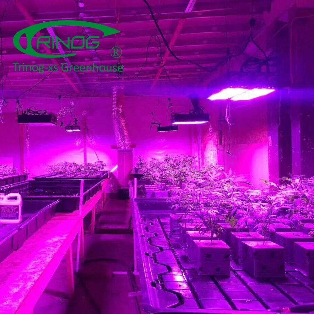 Trinog Designed Commercial LED Light Deprivation Greenhouse Structure Agricultural Greenhouses green house CO2 controller