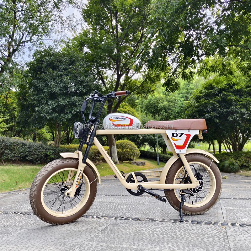 Lantu Ebike classic 48 volt 750w 1000w lithium battery moped style retro electric bikes for Men