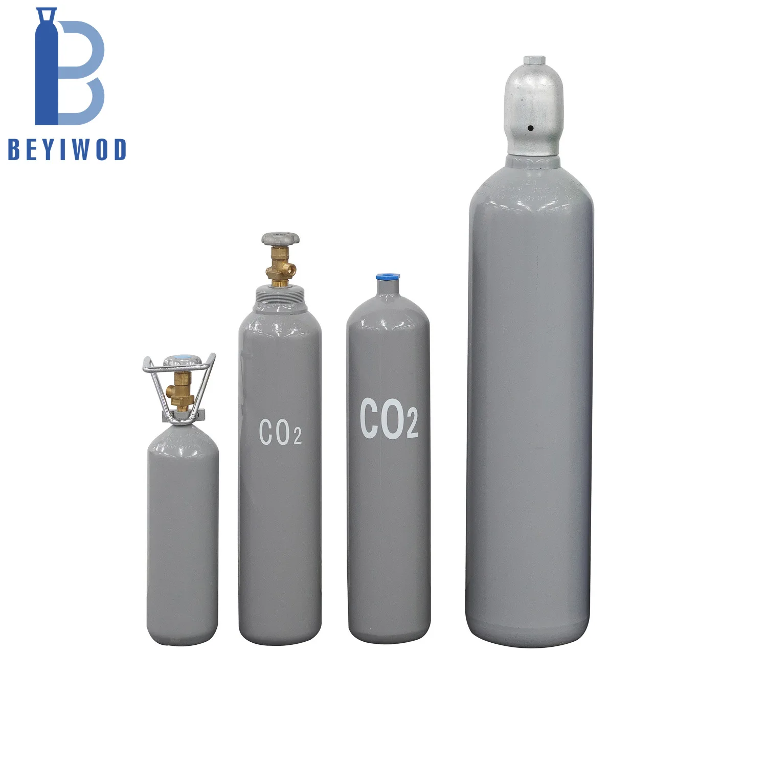 BEYIWOD 2L 3L 4L 5L 10L 20L 30L 40L 50L Capacity CO2 Cylinder CO2 Beer Cylinder Gas Cylinder