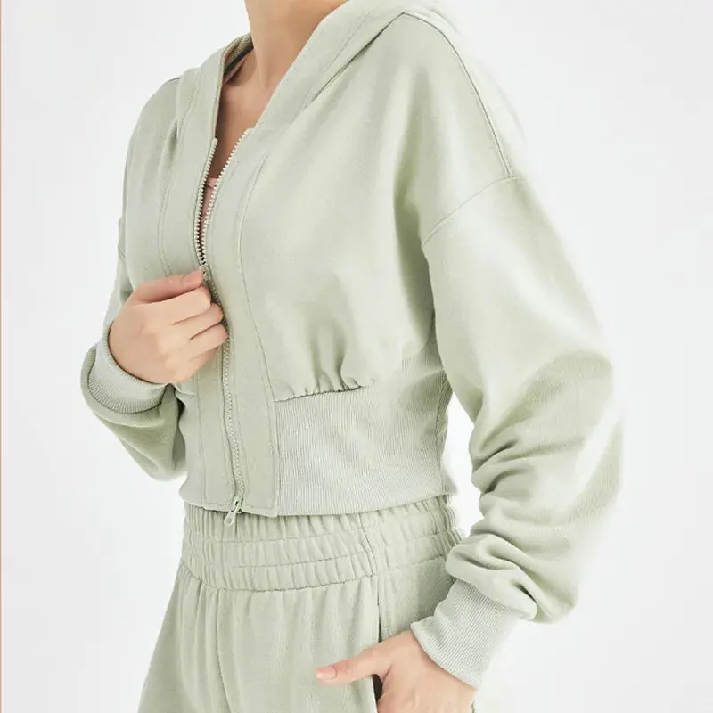 Custom logo women zip up cropped hoodie set velvet tracksuit Letter Appliques jogging suit women embroidery velour sweatsuit