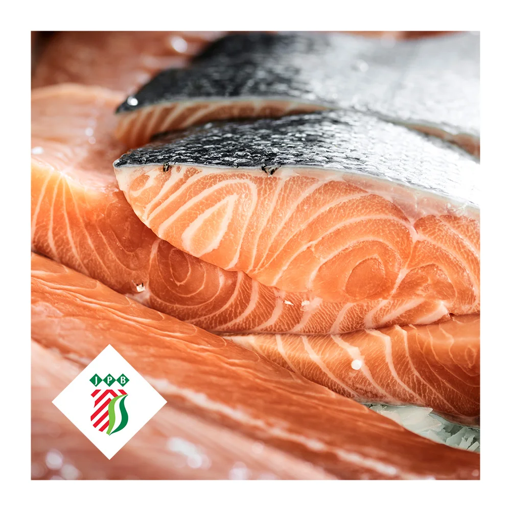 Frozen salmon fish Norway seafood fillet portions loins steaks slices private label for wholesale