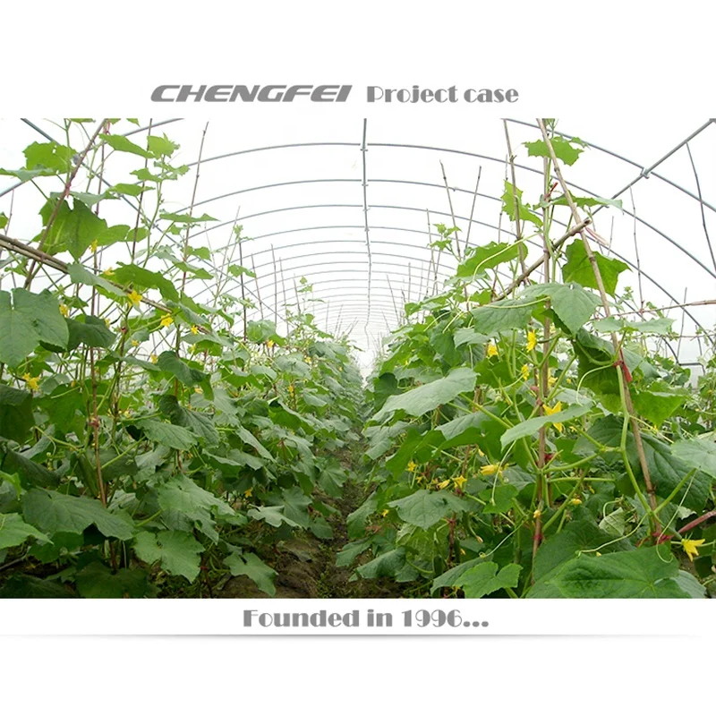 Commercial single-span agricultural tunnel plastic film vegetable tomato greenhouses supplier