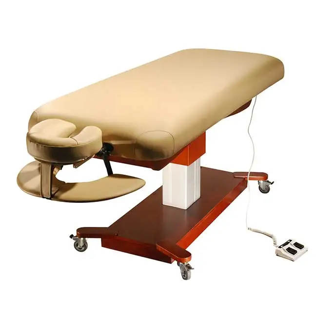 Watt Liftback High Quality 2 Motor Good Sell Portable Physiotherapy Massage Bed Treatment Table Beauty Bed