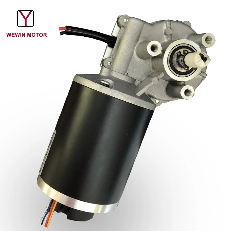 Low Price 12 Volt 24 Volt Gear Motors 24V 100 Watt Electric 250Rpm Dc Motor With Encoder
