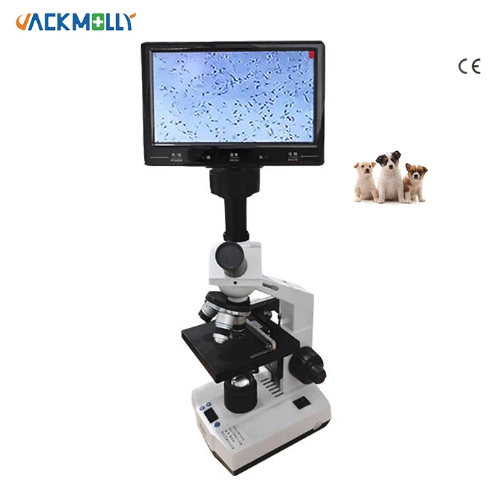 vet Hospital constant temperature CE Digital Biological JM-Q19 Laboratory Microscope for animal