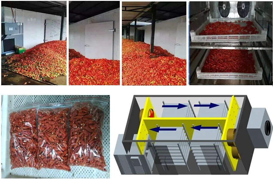 Low price chilli pepper drying machine for dried vegetable food processing equipment