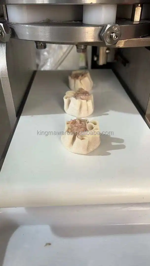Большая емкость Shomai машина портативный Siomai Maker в США