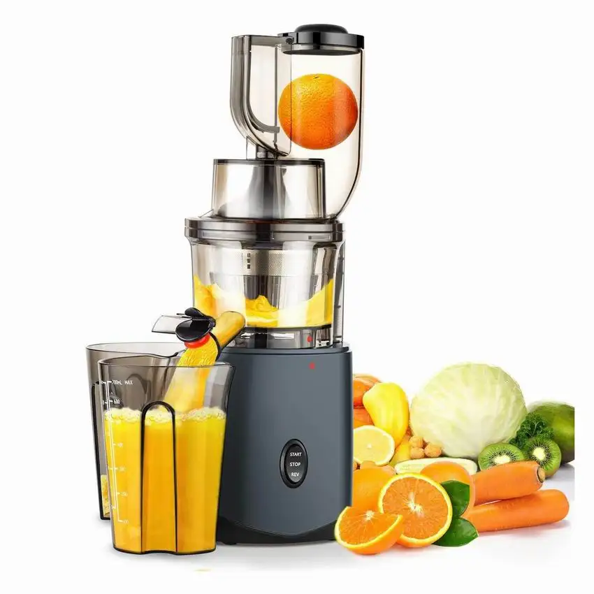 new arrival masticating juicer ROHS CE ETL LFGB approval masticating extractor high juice yield for household use