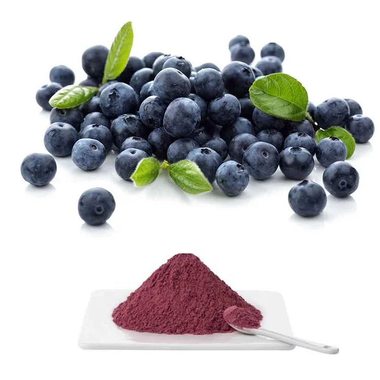 Factory Supply  Natural Extract Certified Fine  Bilberry Pure 100% Bilberry Extract Powder