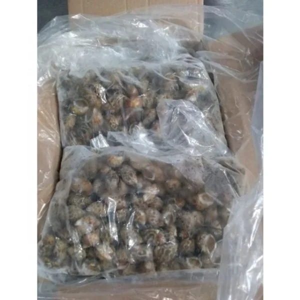 Frozen seafood seller/frozen top shell