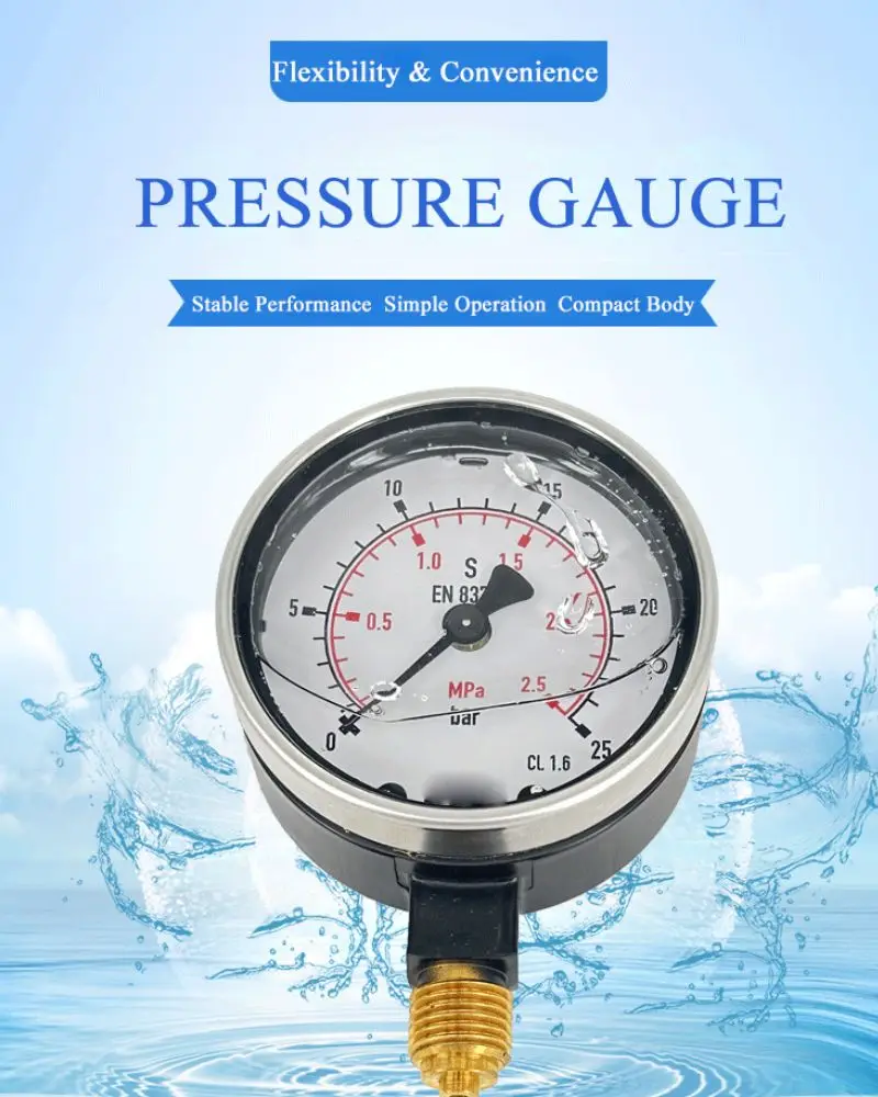 pressure gauge.jpg
