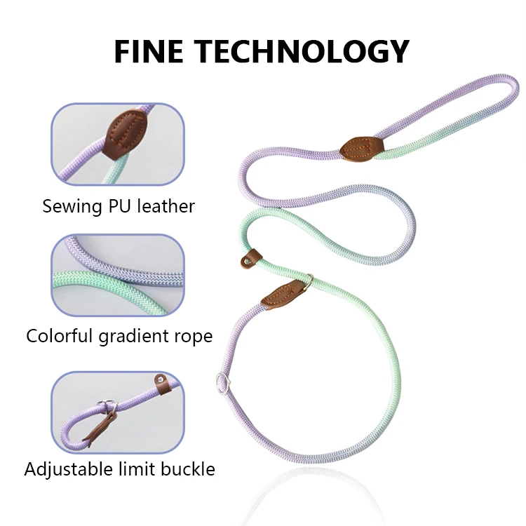 Colorful Comfortable Handle Heavy Duty P chain Rope Durable Adjustable Dog Leash For Medium Large and Small Dogs