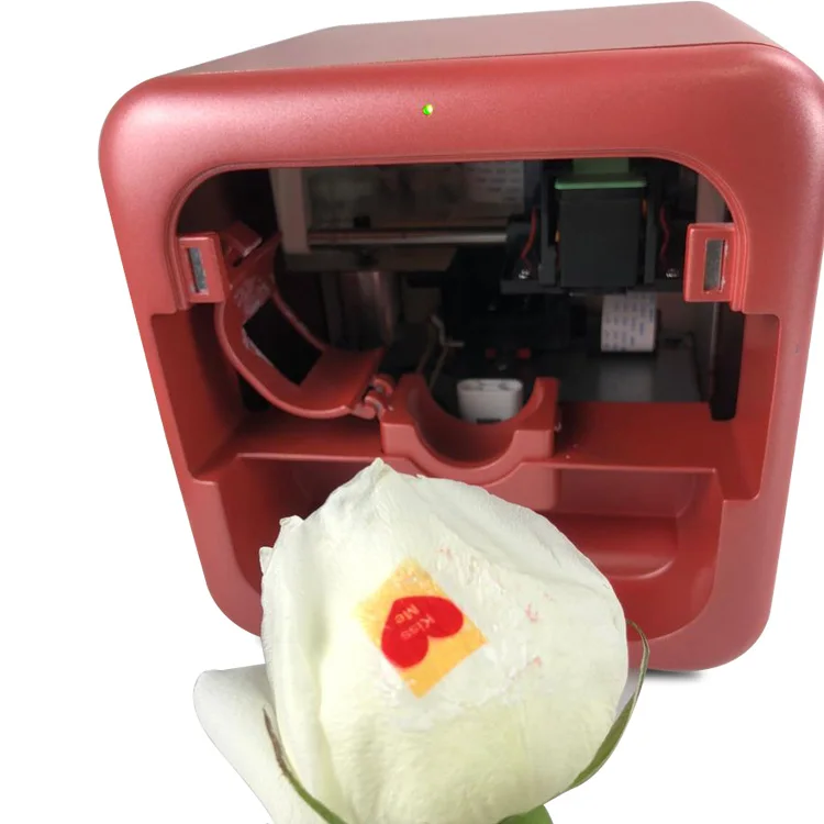 Nailgogo Hot Sale Digital Flower Printer Speaking Rose Printer