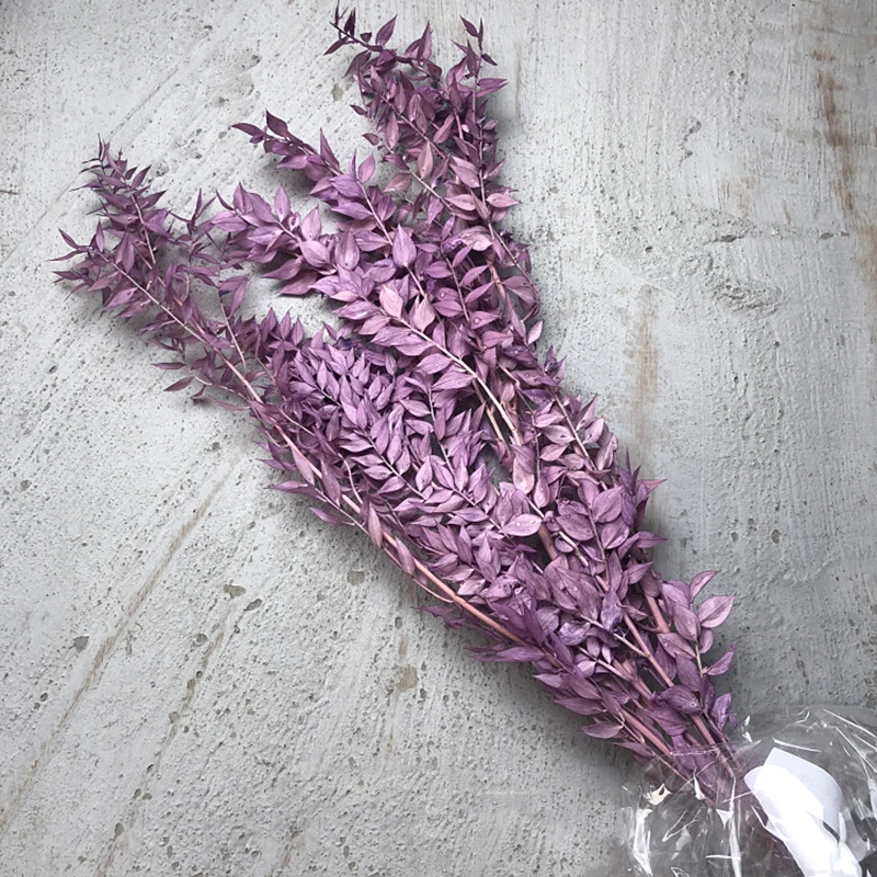 Yunnan Concise style Natural green flower Preserved Ruscus leaves for home decoration