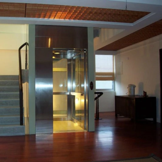 Fashion and popular economical cost brand name indoors home villa elevator