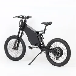Dirt Bike For Kids 12 Years Old Electric Tire Fat Tire Electric Folding Bike For Hunting