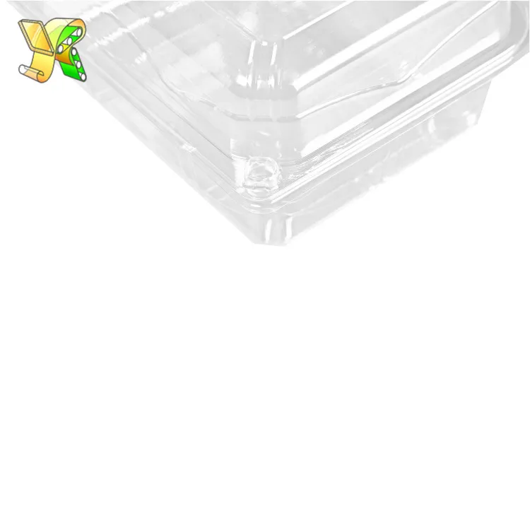 
Wholesale plastic clamshell packaging blister biodegradable clamshell food containers 