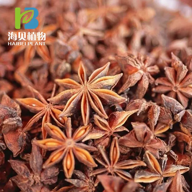 High quality and Natural Star Anise Extract Pure Essential oil for Commercial Use