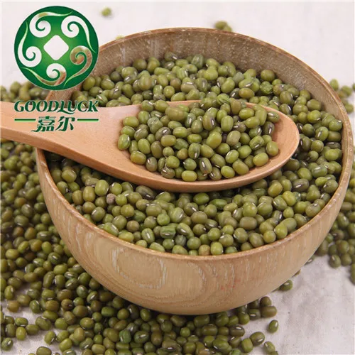 Mung Beans Bulk Green Mung Beans For Sale