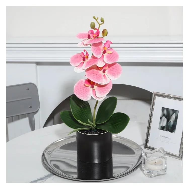 YX230316-5P Wholesale Real Touch Artificial Five Headed Phalaenopsis with Leaves Decorations For Home