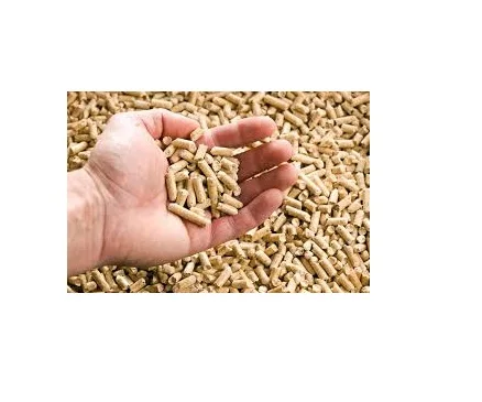 Energy Wood Pellet for Thermal Power Export to EU, USA, Japan, UAE - High Quality Wooden Pellet for BBQ, Grill, Heating, Warming