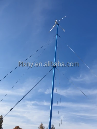 China Factory 1kw 2kw 3kw 4kw 5kw 10kw 30kw Horizontal Axis Wind Turbine Generator  Wind mill With Mppt Controller For Home