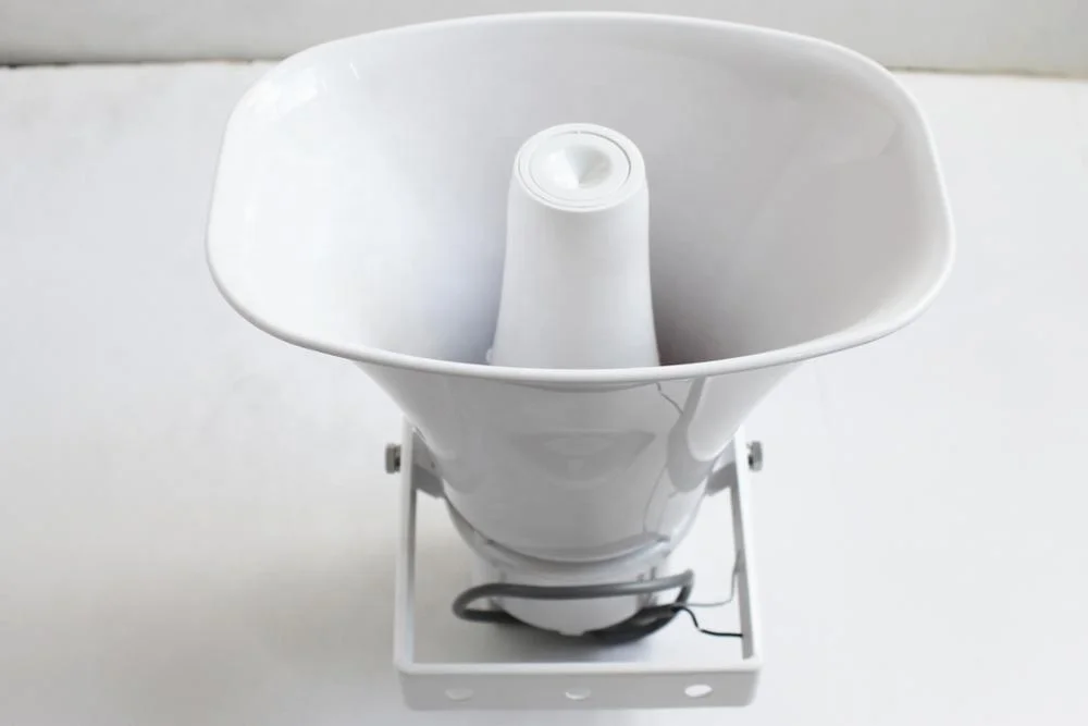 Factory Wholesale High Power 30w Single Near Field High Sound Pressure Directional Horn Speaker