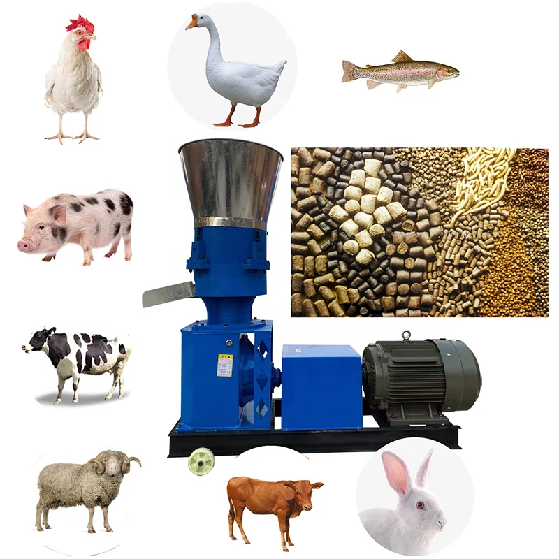 Animal Feed Pellet Making Machine Pullet Feed Pellet Making Machine Machine Make Tilapia Fish Feed Pellets
