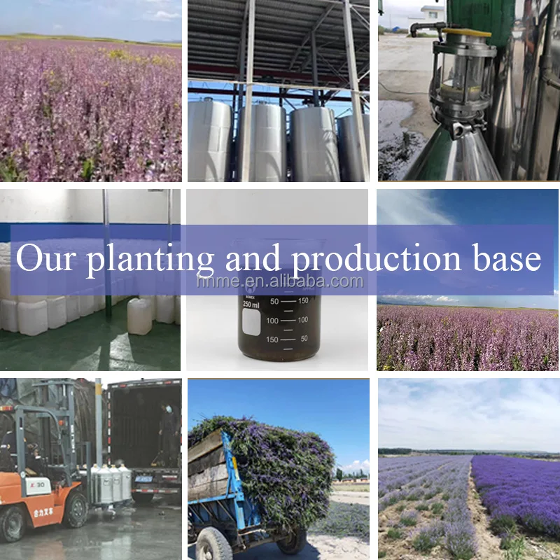 Thymol 100% natural plant spice essential oil Raw material 1L multi-purpose CAS NO. :89-83-8