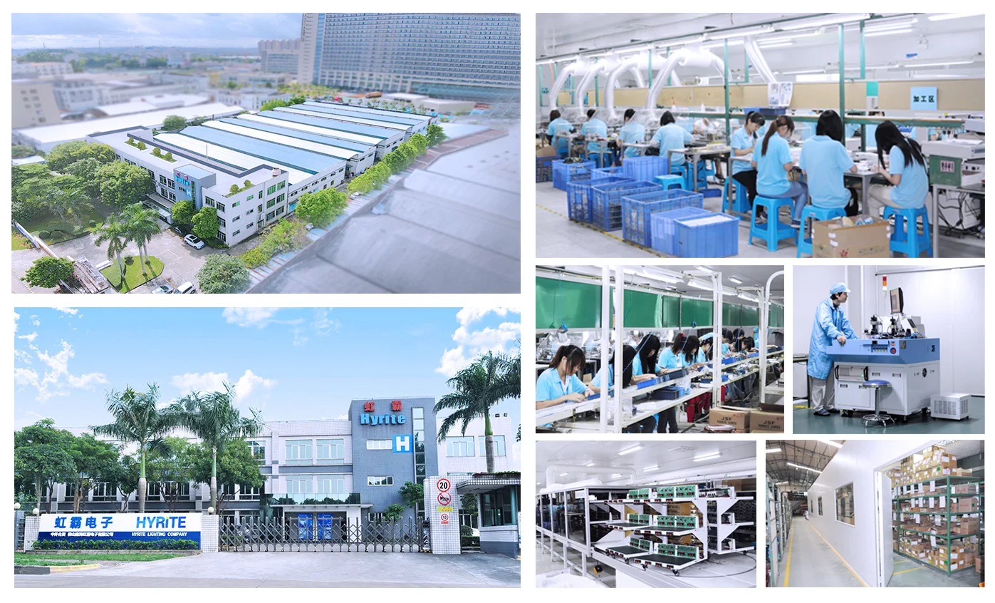 company overview.jpg