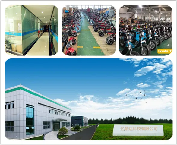 electric cargo scooter