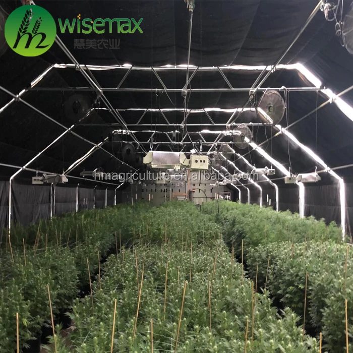 American Standard Automatic Light Dep Cbd Greenhouse for Medical Plants