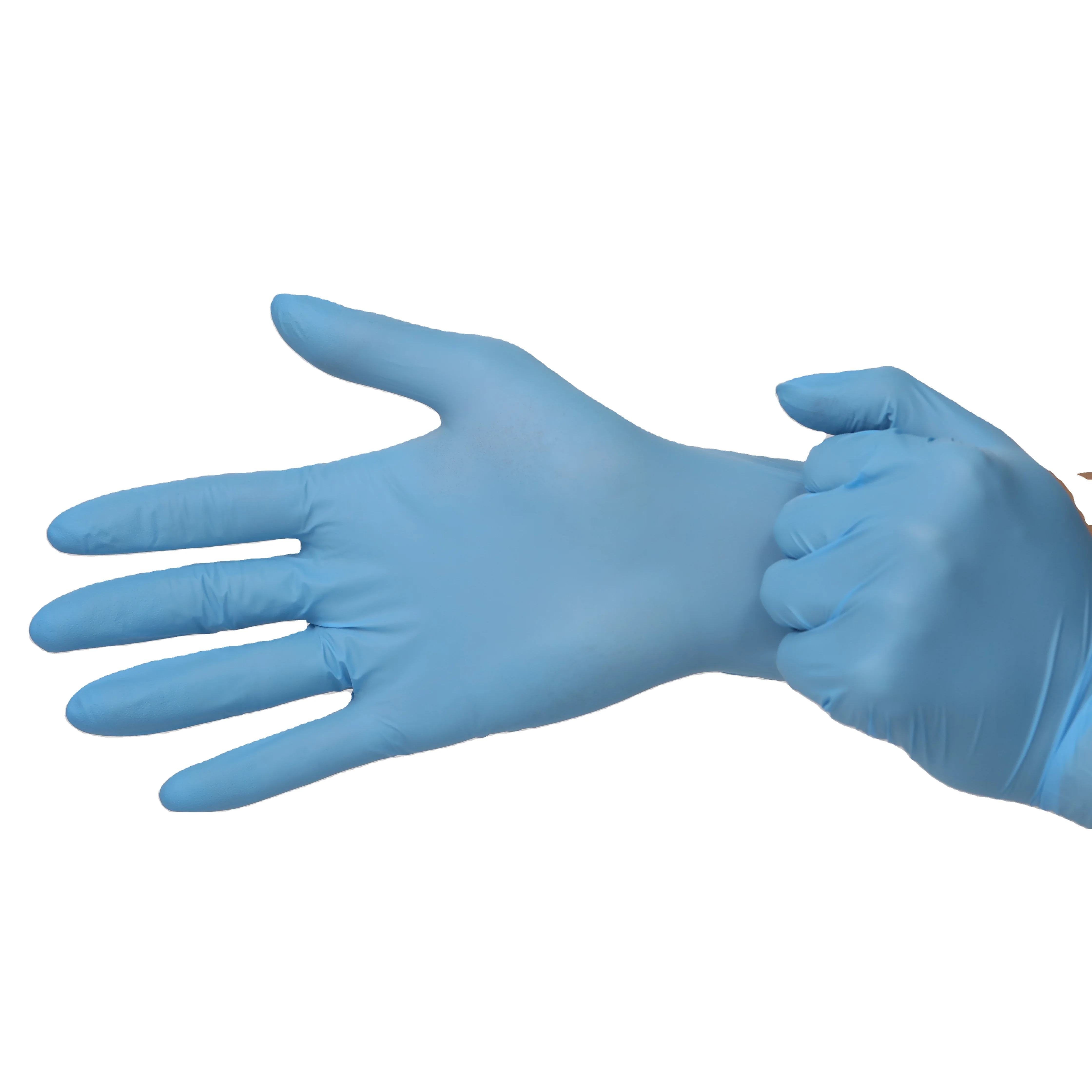 High Quality Free Samples   Sky Blue Disposable Wholesale  Powder Free Non Sterile   Nitrile Exam Gloves