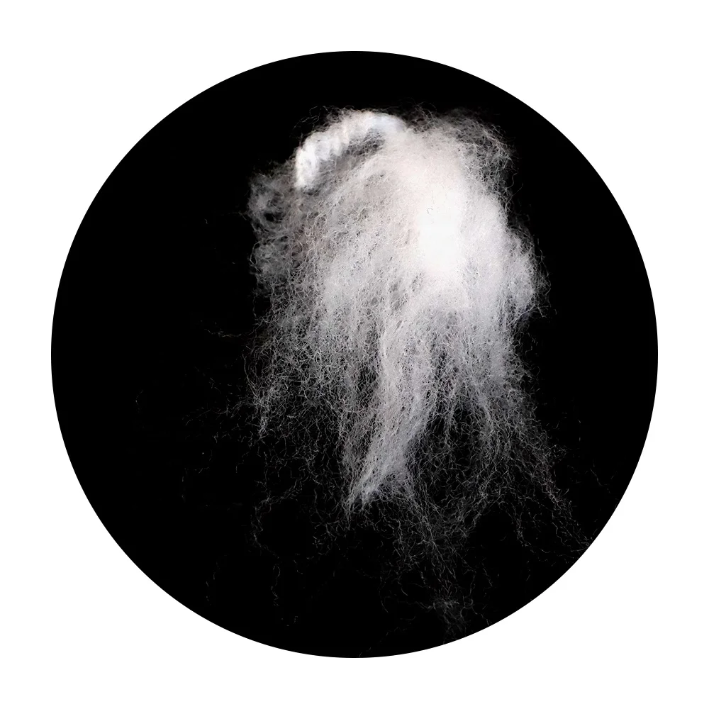 Polyamide PA6 nylon staple fiber 15DX51mm for non-woven fabrics in civilian