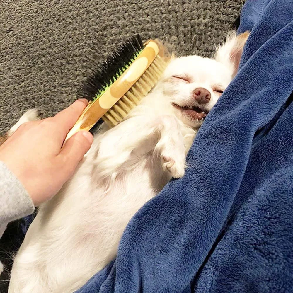 KingHon Bamboo Handle Two Sided Bamboo Wood Cat Dog Pet Massage Hair Grooming Brush Pet Cleaning