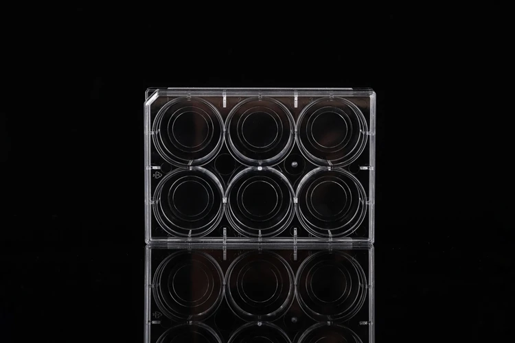 glass bottom cell culture dish