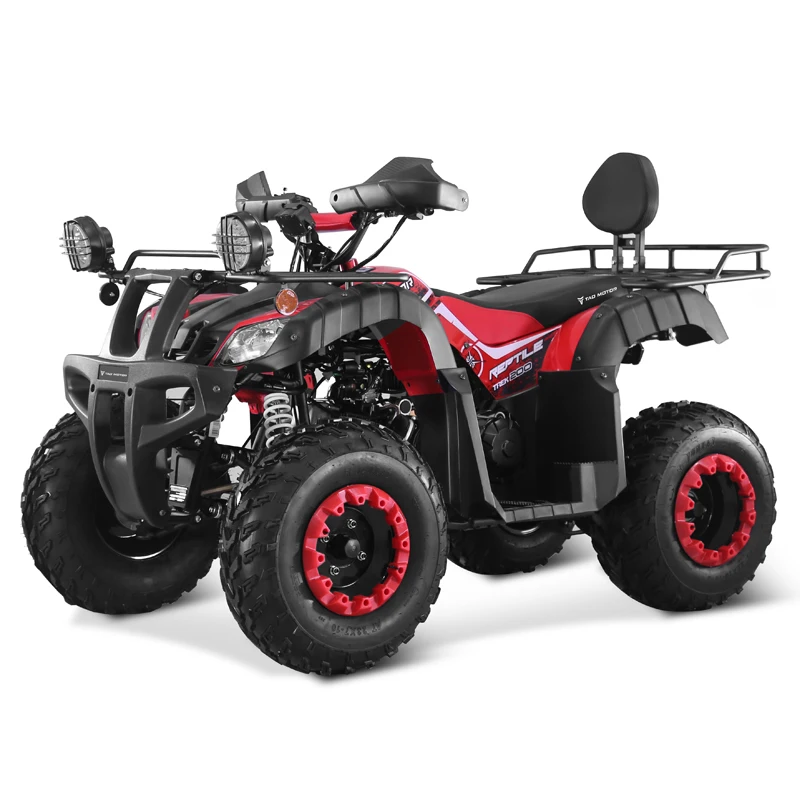 Tao Motor 2024 New Farm Use Side by Side Chain Drive Adult 2 Seat 250cc ATV