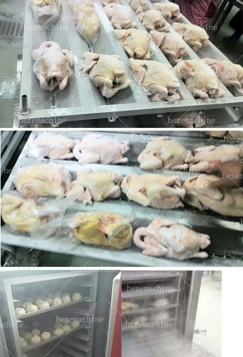 Небольшой быстрый морозильник морозильная камера для рыбы и курицы/шоковая