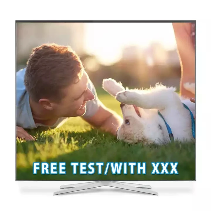 The Best IPTV Subscription 12 Months Android IPTV Reseller Panel 24h Free Test Stable Working