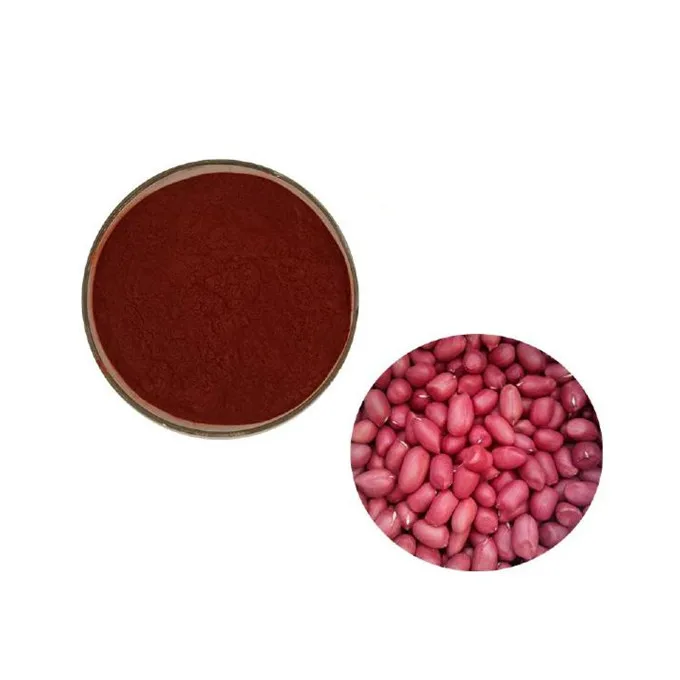 High quality Peanut Shell Extract Peanut Skin Extract Peanut coat extract powder