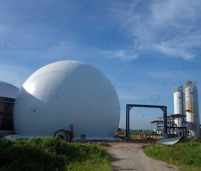 
Automatic Controlled Membrane Biogas Storage Tank/Biogas Balloon/Gas Holder for Biogas Digester in Malaysia 