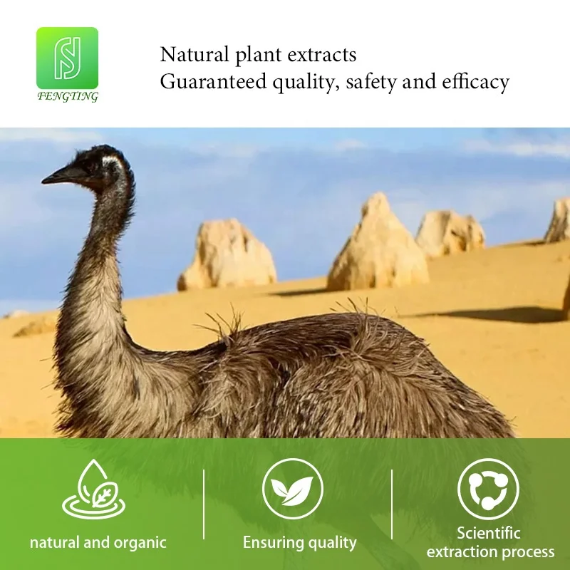 Organic Ostrich Oil Manufacturer Wholesale Pain Relieving White Cream 10ml African Ostrich Pure Oil